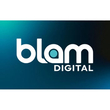 Blam Franchise