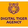 Digital Tiger Agency Franchise
