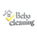Bebo Cleaning Franchise