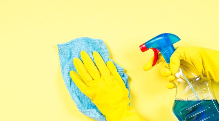 maid2clean franchisor interview