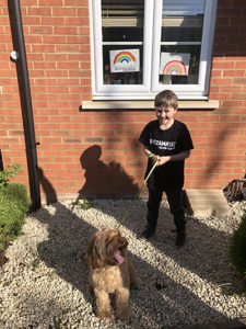 pic 2 callum dog walker