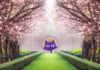 There’s light at the end of the tunnel, so is it time to make a change? magikats news