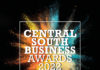 The Travel Franchise wins businessperson of the year at the central south business awards 0 Winner Logo