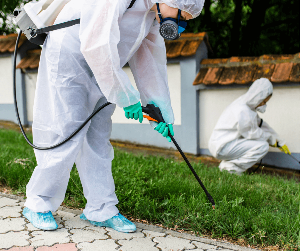 Exterminators spraying outside