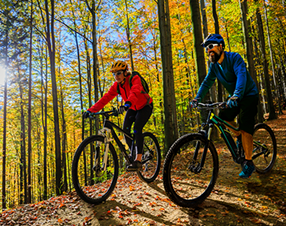 The Bike Fitters Franchise
