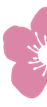 Blossom Home Care Franchise