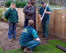 Eds Garden Maintenance