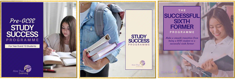 More Than Learning Franchise