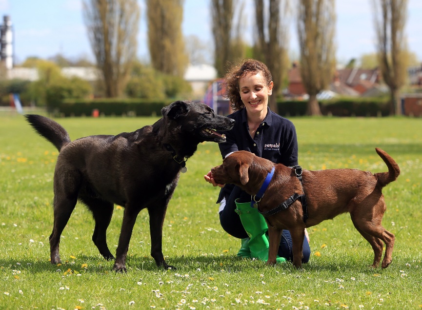 Start a Petpals Franchise