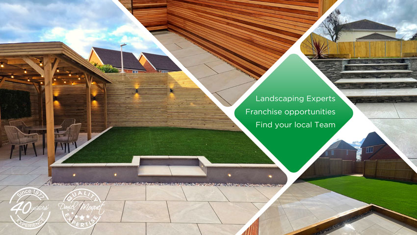 Daniel Moquet Franchise For Sale
