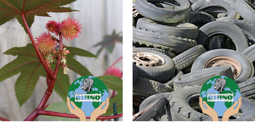 Rhino Surfaces Franchise
