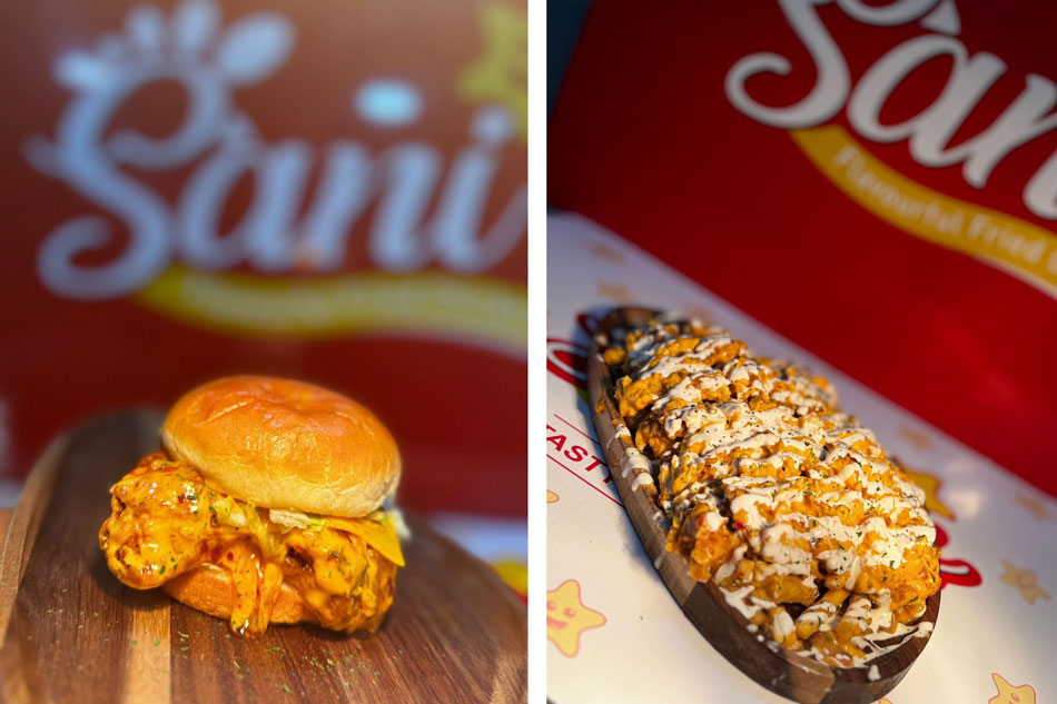 Sani's Franchise